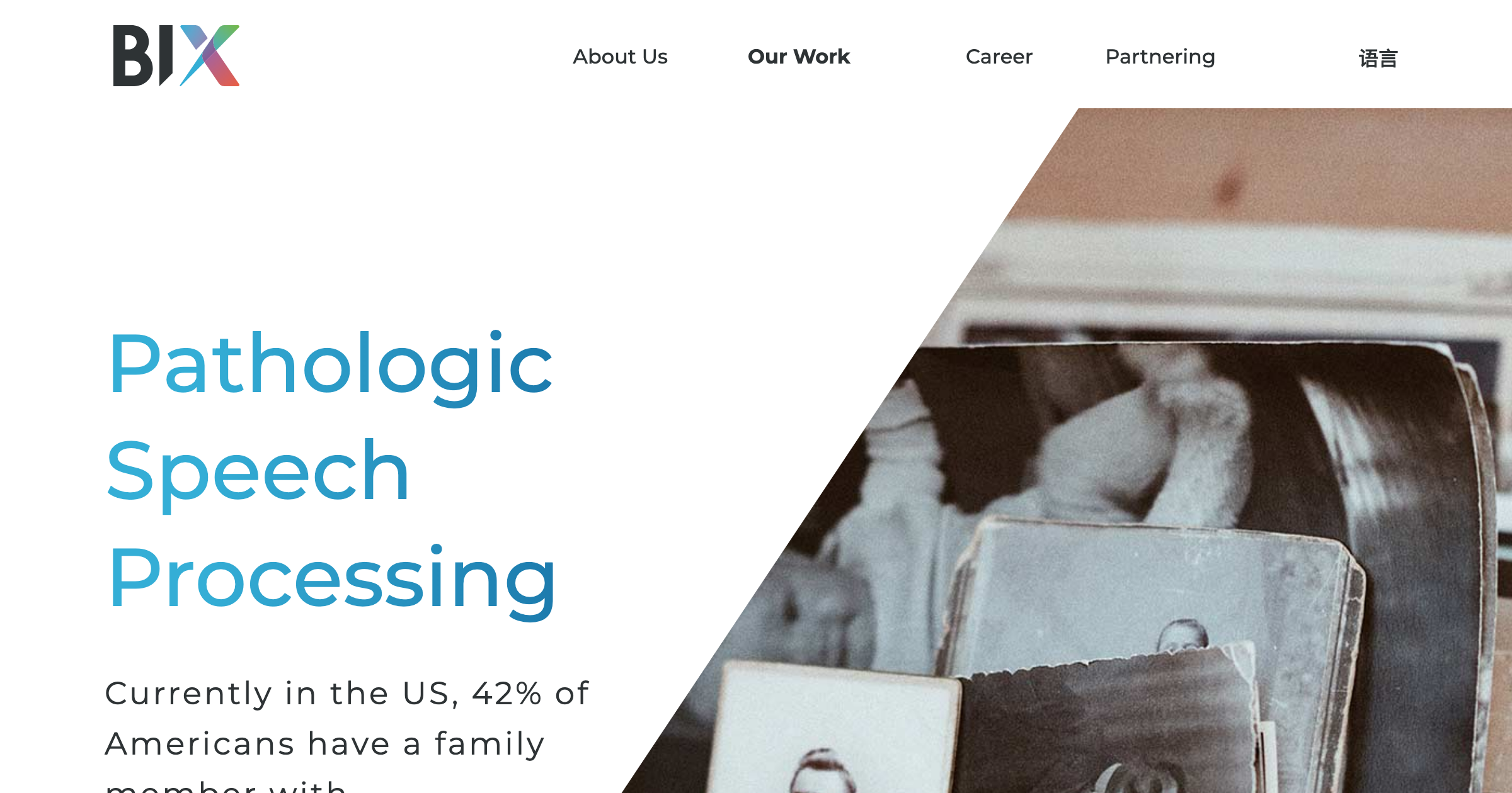 Pathologic Speech Processing BI X