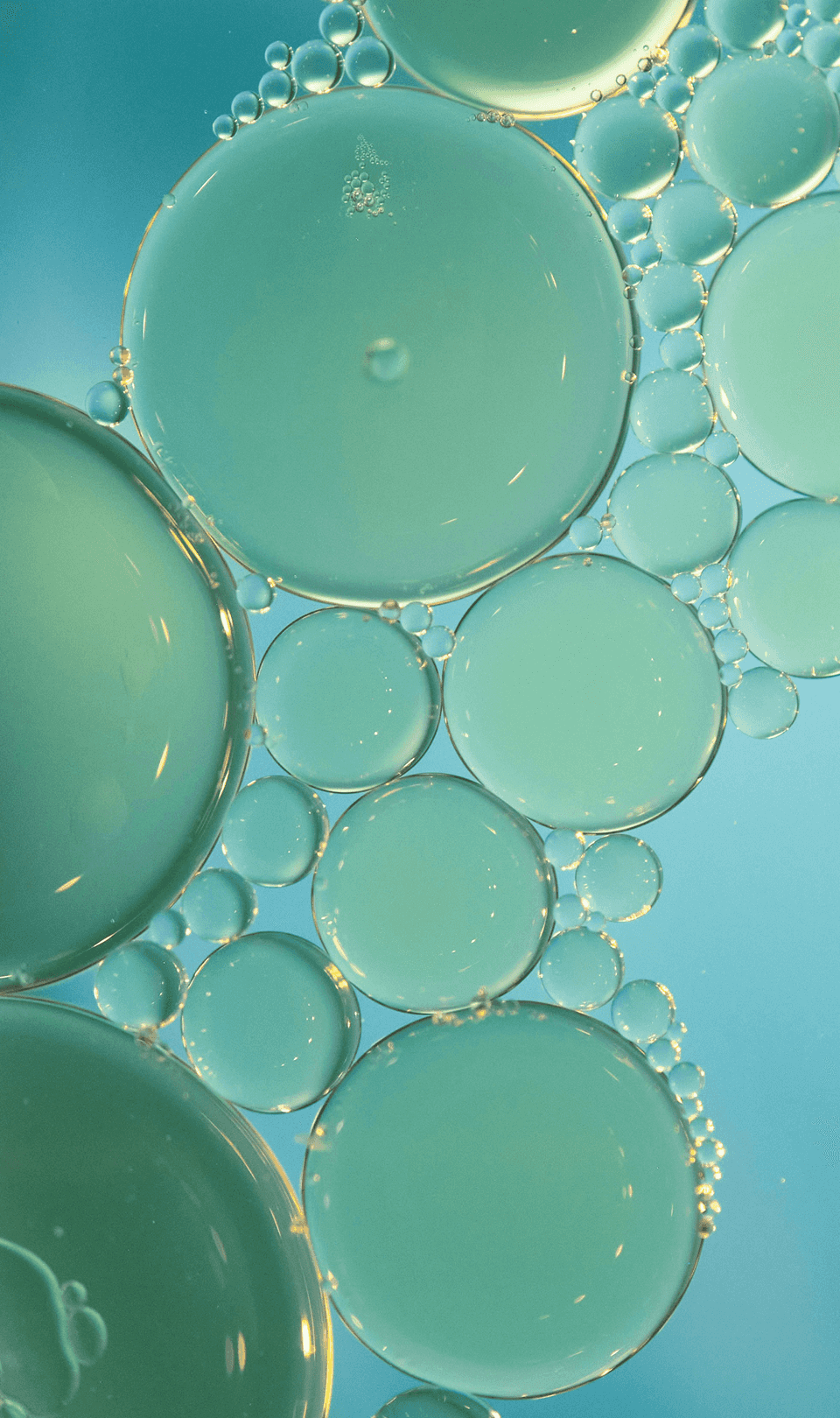 Section illustration